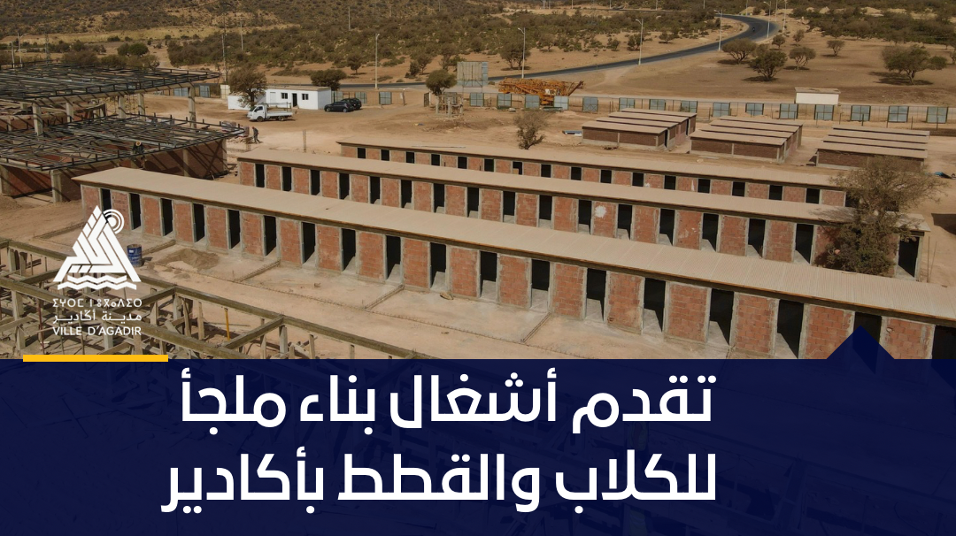 تقدم أشغال بناء ملجأ للكلاب والقطط بأكادير