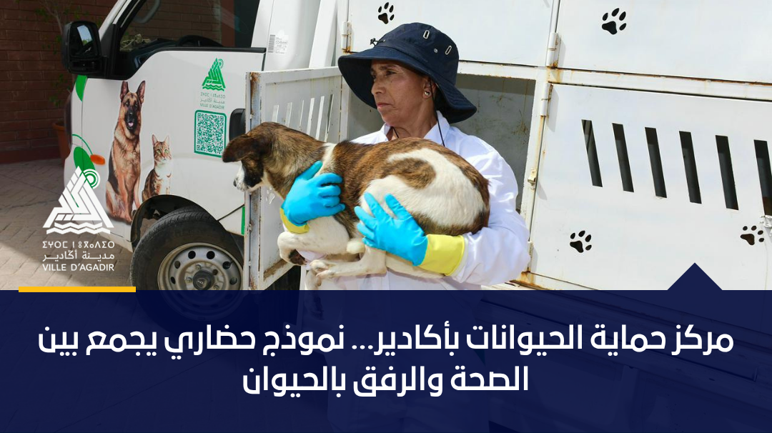 مركز حماية الحيوانات بأكادير… نموذج حضاري يجمع بين الصحة والرفق بالحيوان